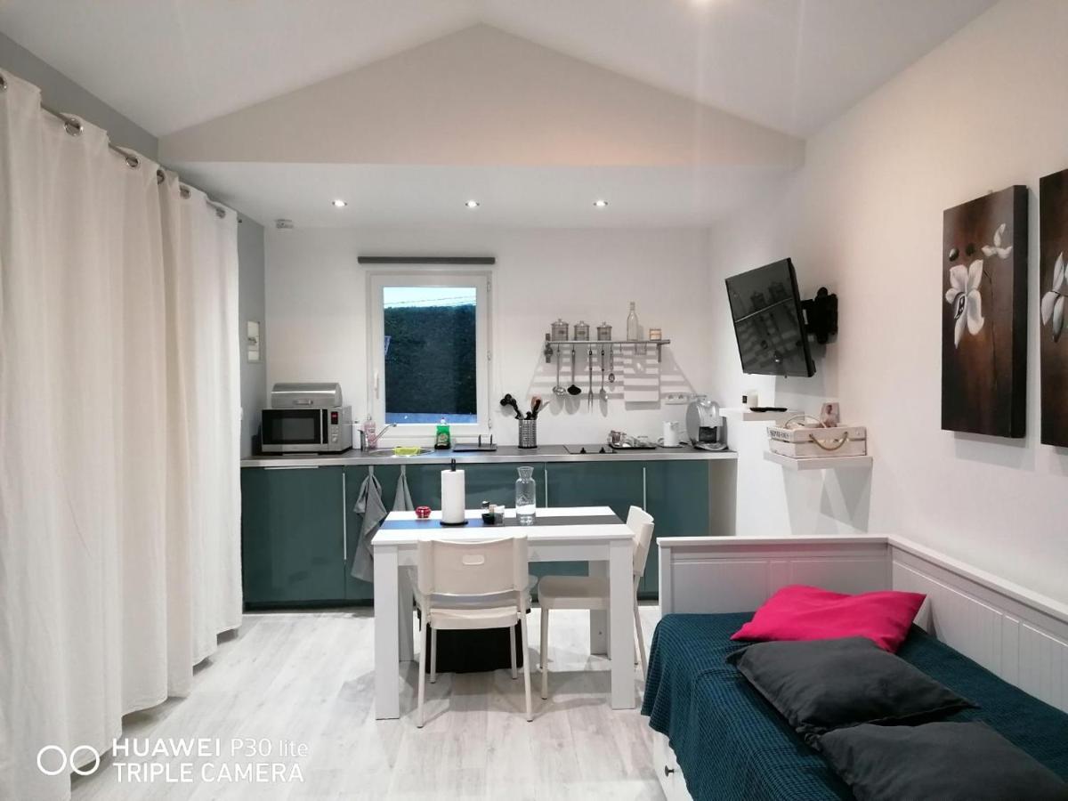 Apartamento Petit Nid Douillet Reventin-Vaugris Exterior foto