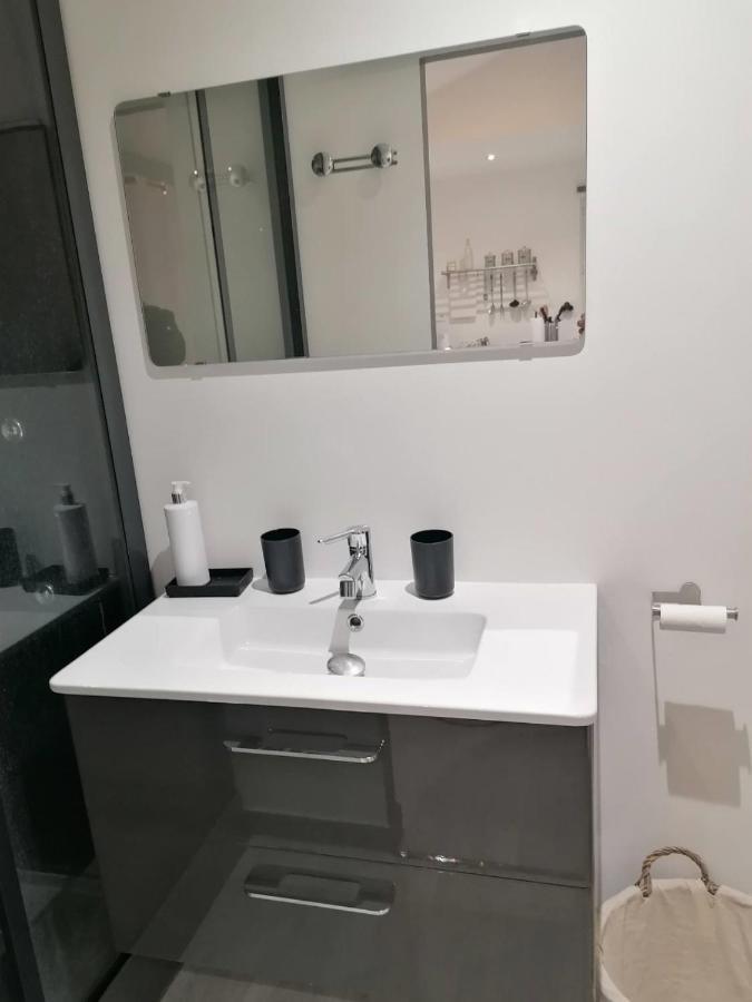 Apartamento Petit Nid Douillet Reventin-Vaugris Exterior foto